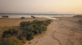 Chikwenya, Wilderness Safari, Mana Pools, Zimbabwe