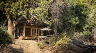 Chikwenya, Wilderness Safari, Mana Pools, Zimbabwe